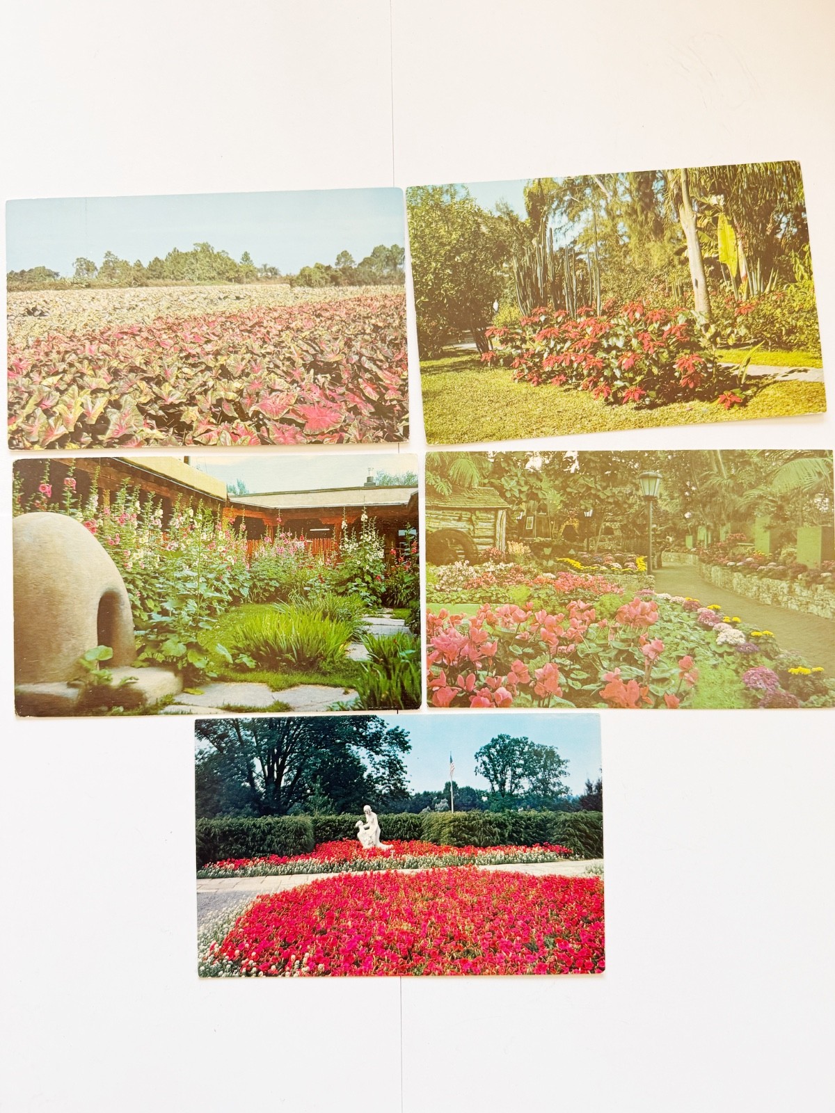 Lot of 5 Vintage Posted Postcards Gardens Flowers Multi-State 1950s-70s