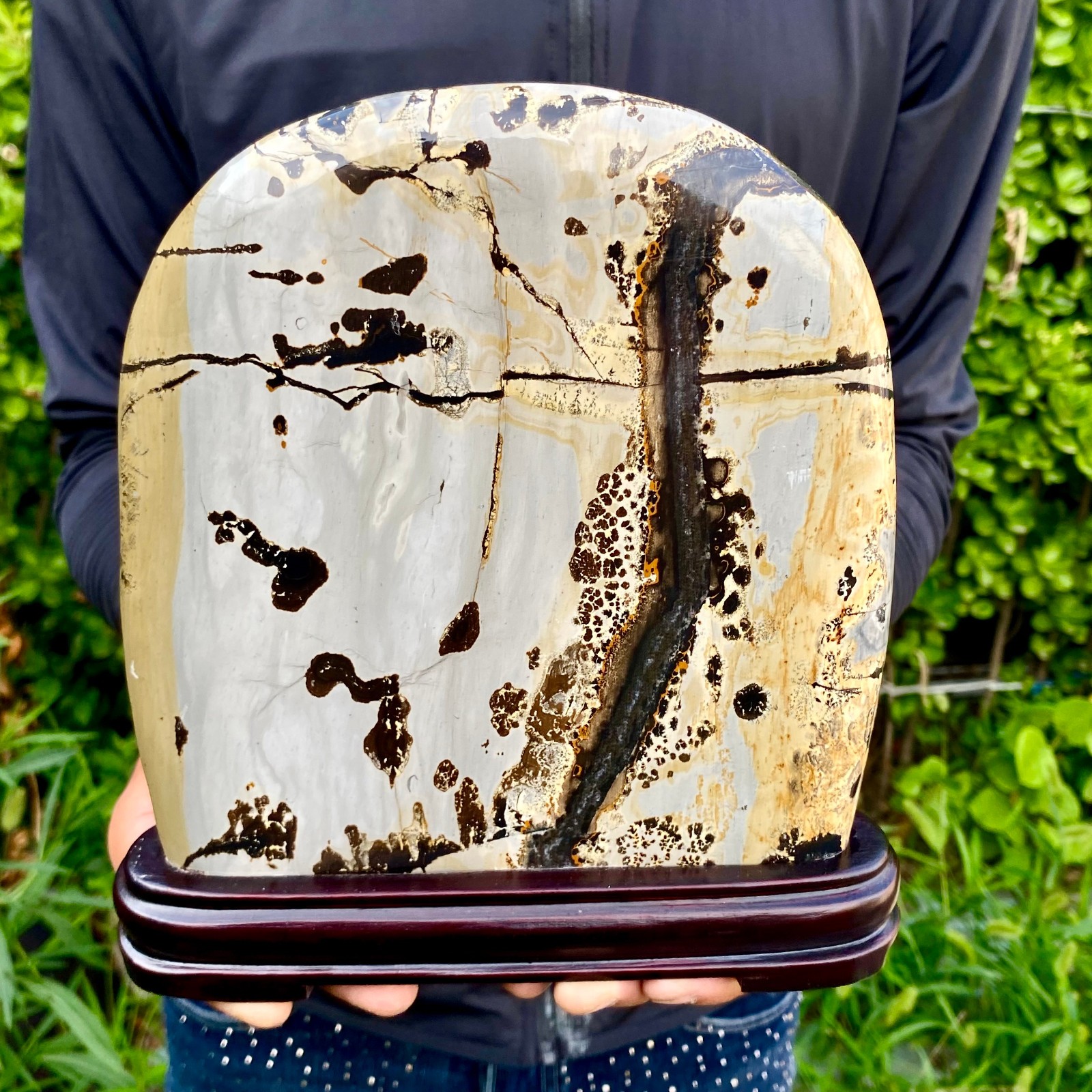 3.74LB Beautiful Natural Chinese Dendritic Limestone Picture Stone Guohua-Rare
