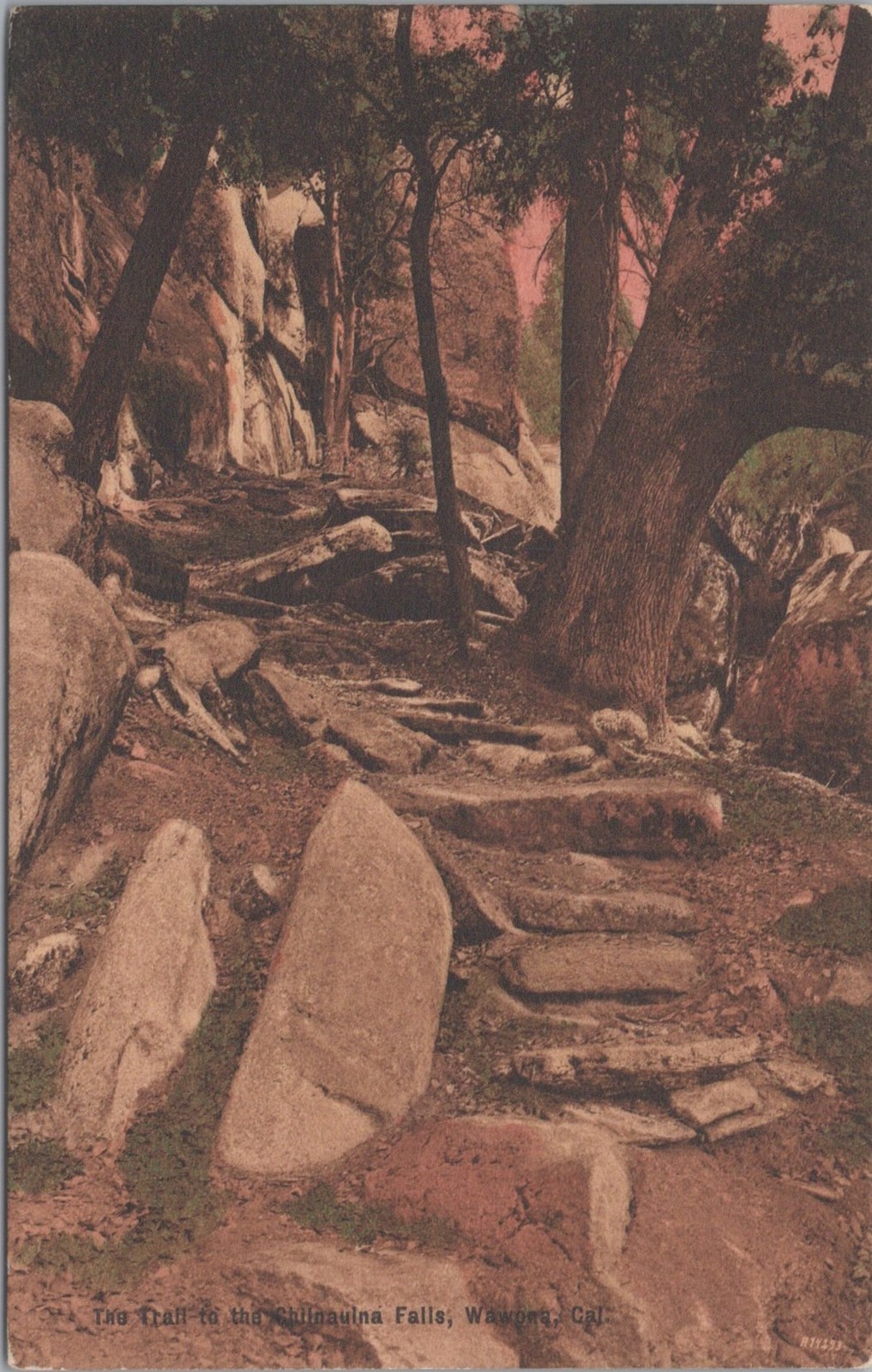 Trail to Chilnualna Falls Wawona CA Yosemite Stone Steps Rieder 1900s Postcard