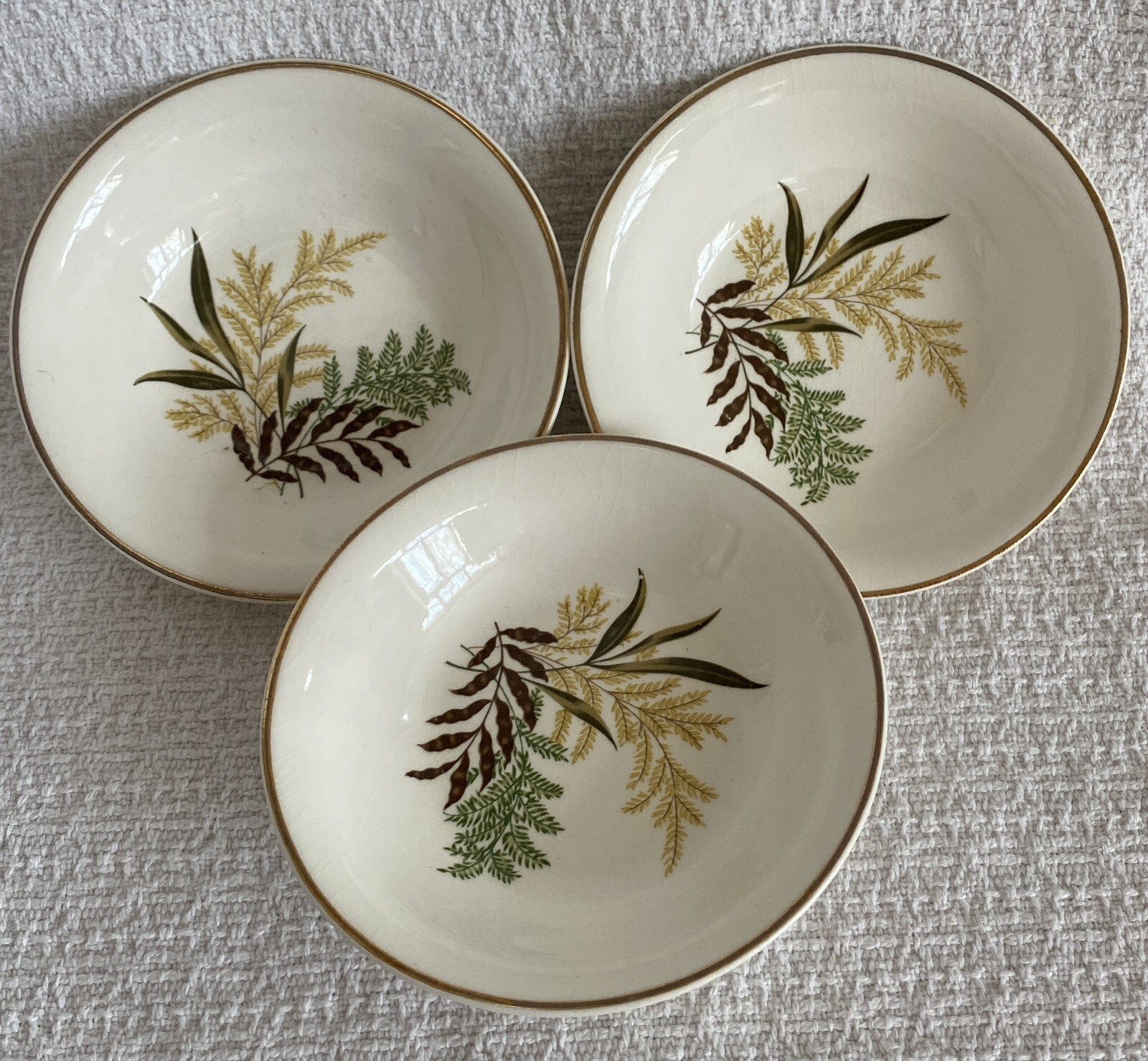Vintage Lot of 3 Homer Laughlin China Ferns Leaves 5\