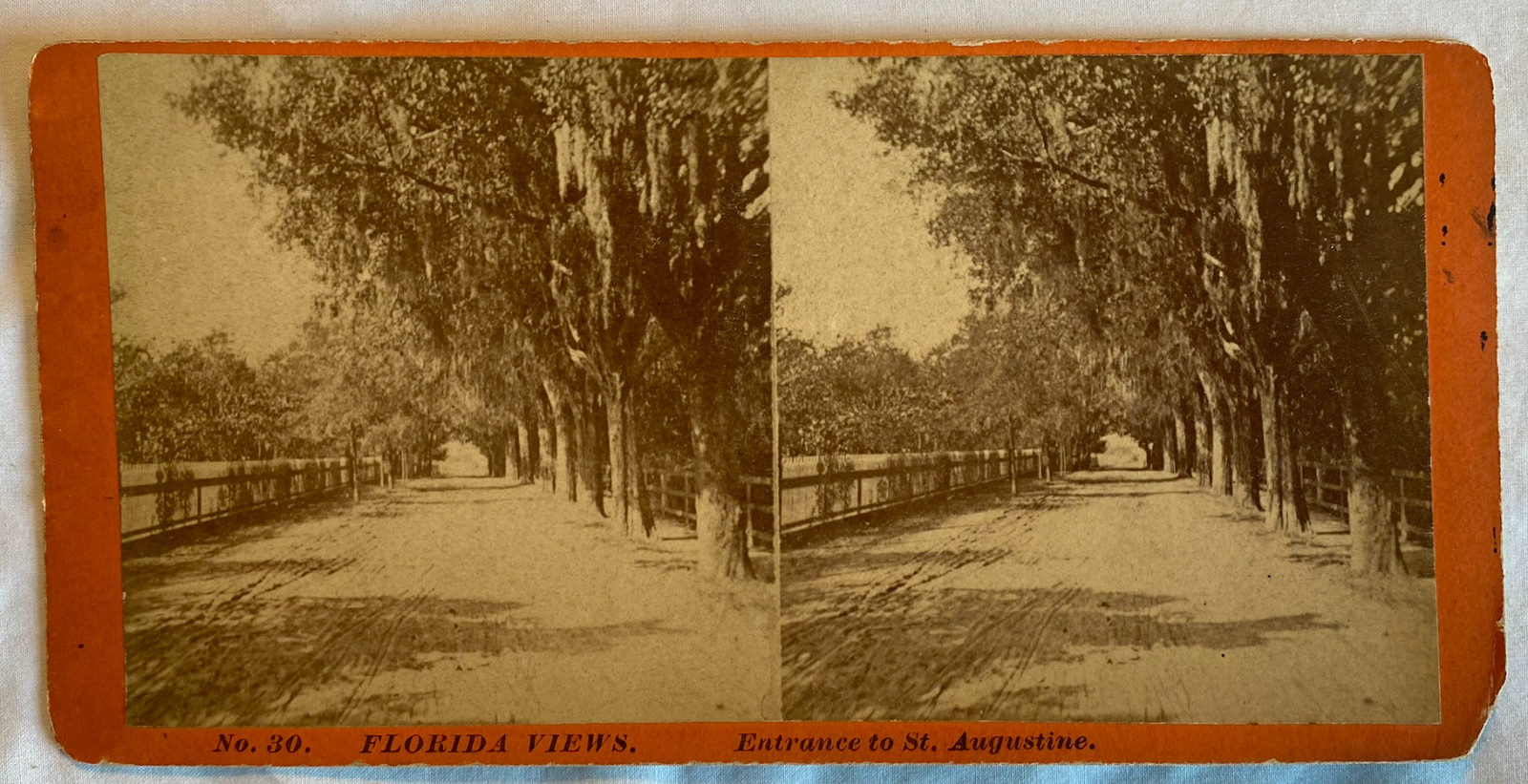 Antique 1884 Florida Stereoview St Augustine Entrance Oak Trees Moss Maynard