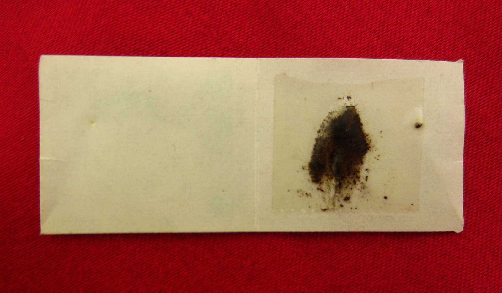 Vintage MOTHER GAMELIN Relic WOOD OF HER COFFIN Catholic Relic FRENCH CANADIAN