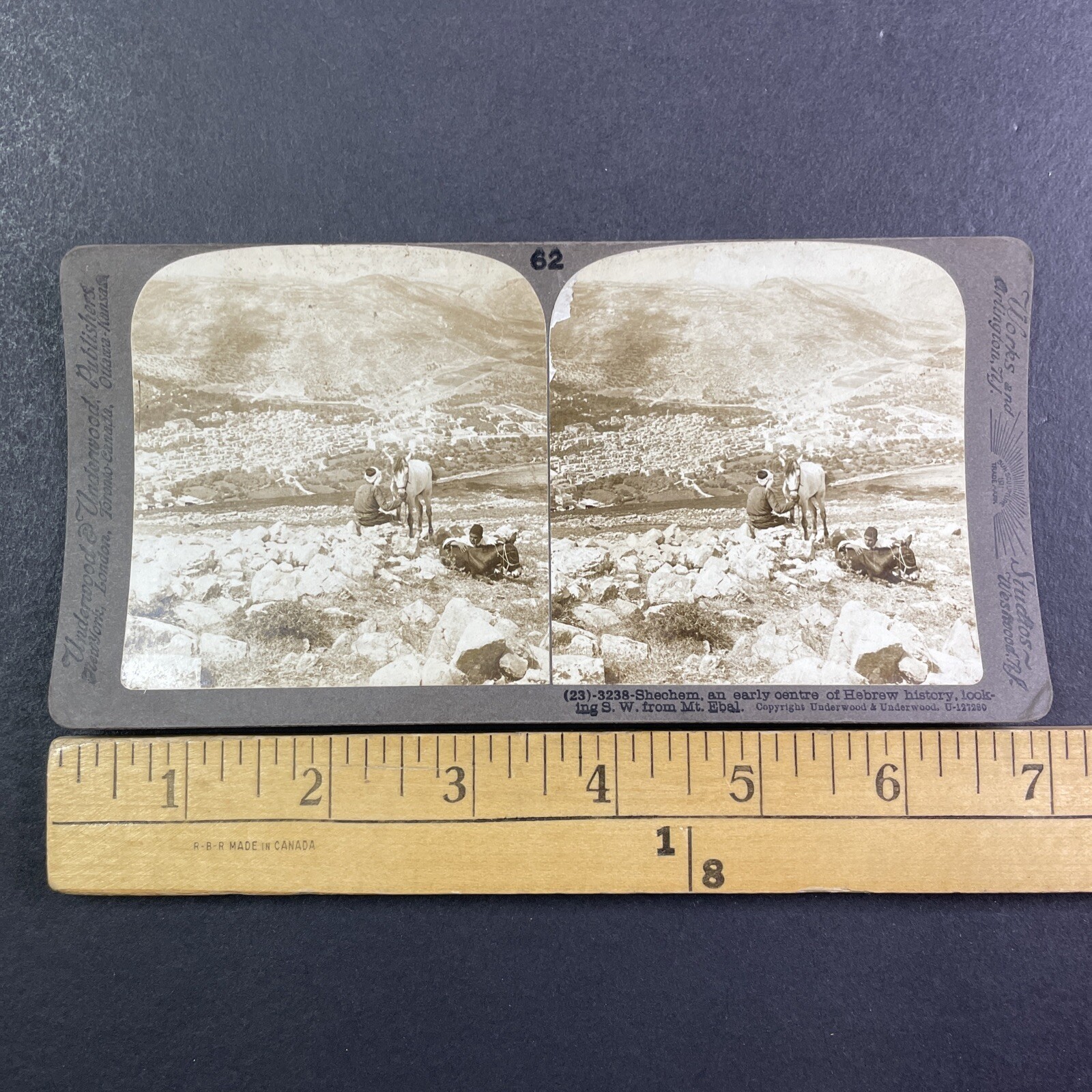 Shechem Israel Palestine Stereoview Underwood & Underwood c1899 Curved Mount