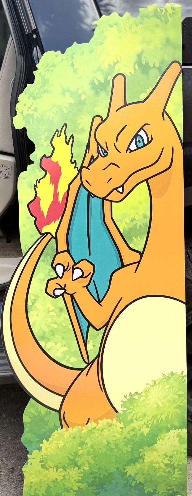 Pokémon  Target Display Poster Lot - Charizard,Bulbasaur ,mew,psyduck