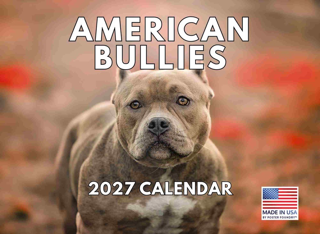 American Bully Dog Calendar 2027 Monthly Wall