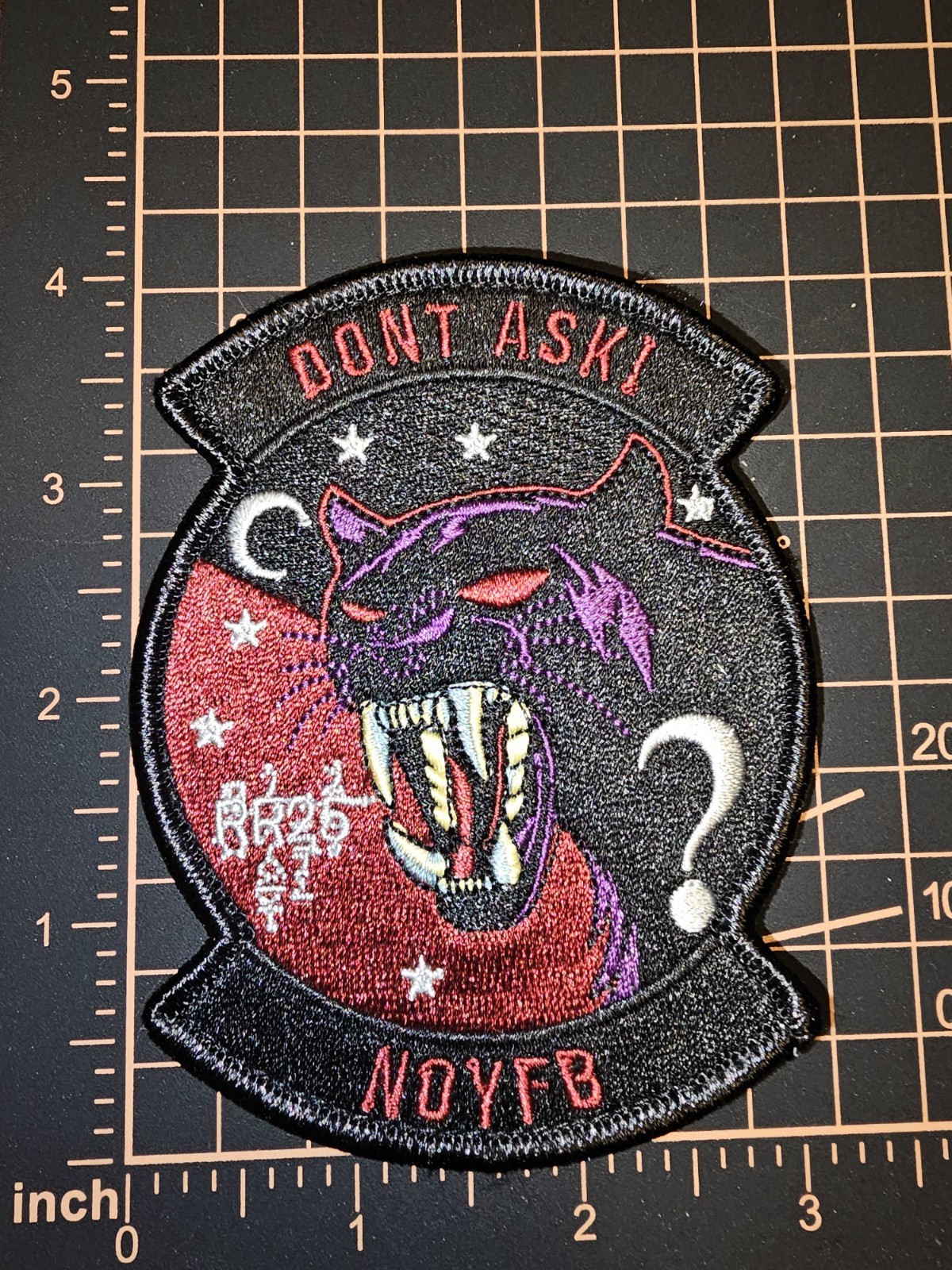 Rare F-35 Don't Ask Patch Area 51 Advanced Programs