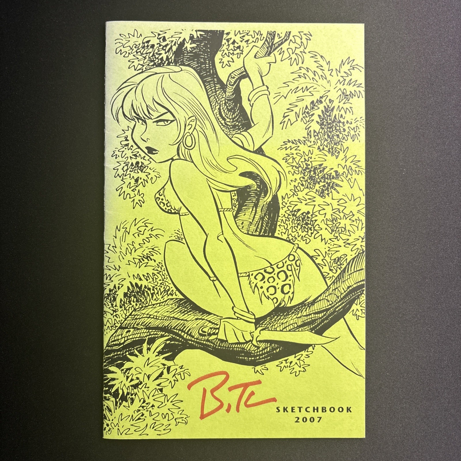 Bruce Timm Signed Sketchbook 2007 RARE HTF Bruce Timm Signed Sketchbook 2007 RARE HTF