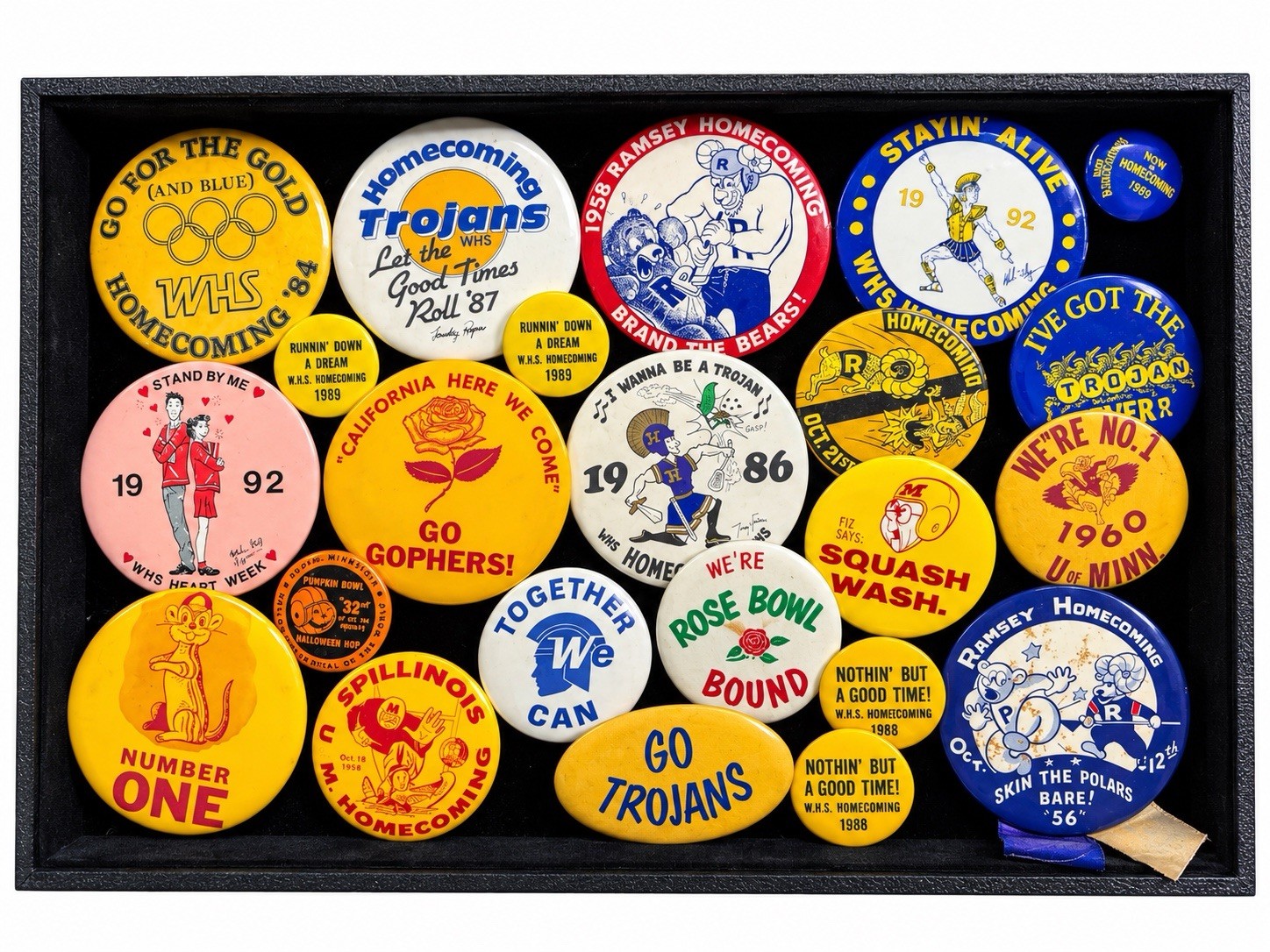 Over $500 Collector Value Huge Lot of School Pins