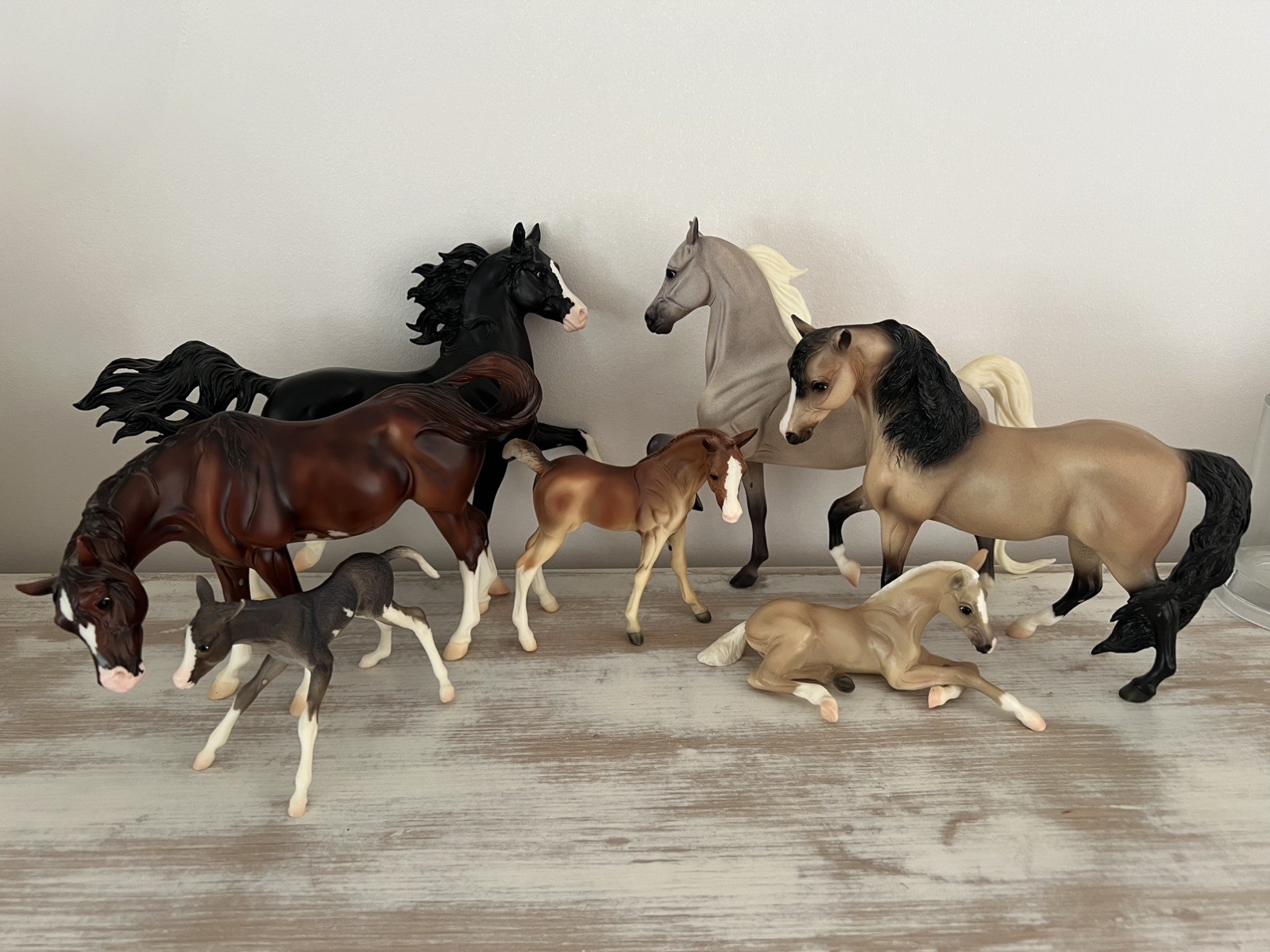 Breyer Color Crazy Treasure Hunt 2008 Full Set White/Sabino Variation 