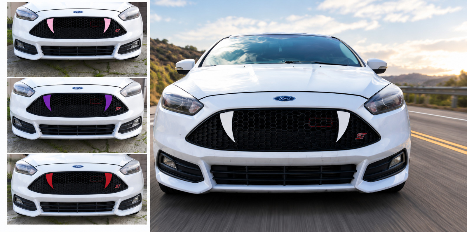 Ford Focus ST Fangs Teeth snake 2016 to 2018 Honey Comb Grill