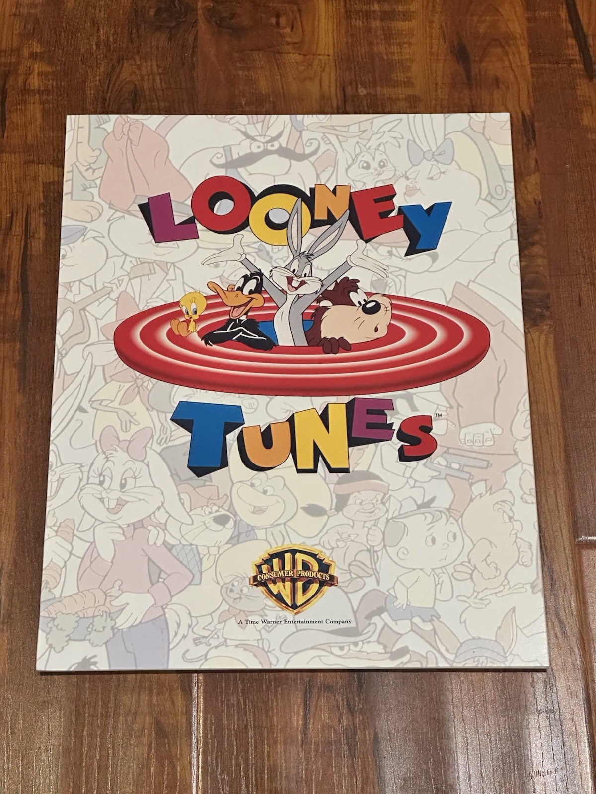 Rare 1993 Warner Bros. Looney Tunes IP Marketing Advertising Promotion Brochure
