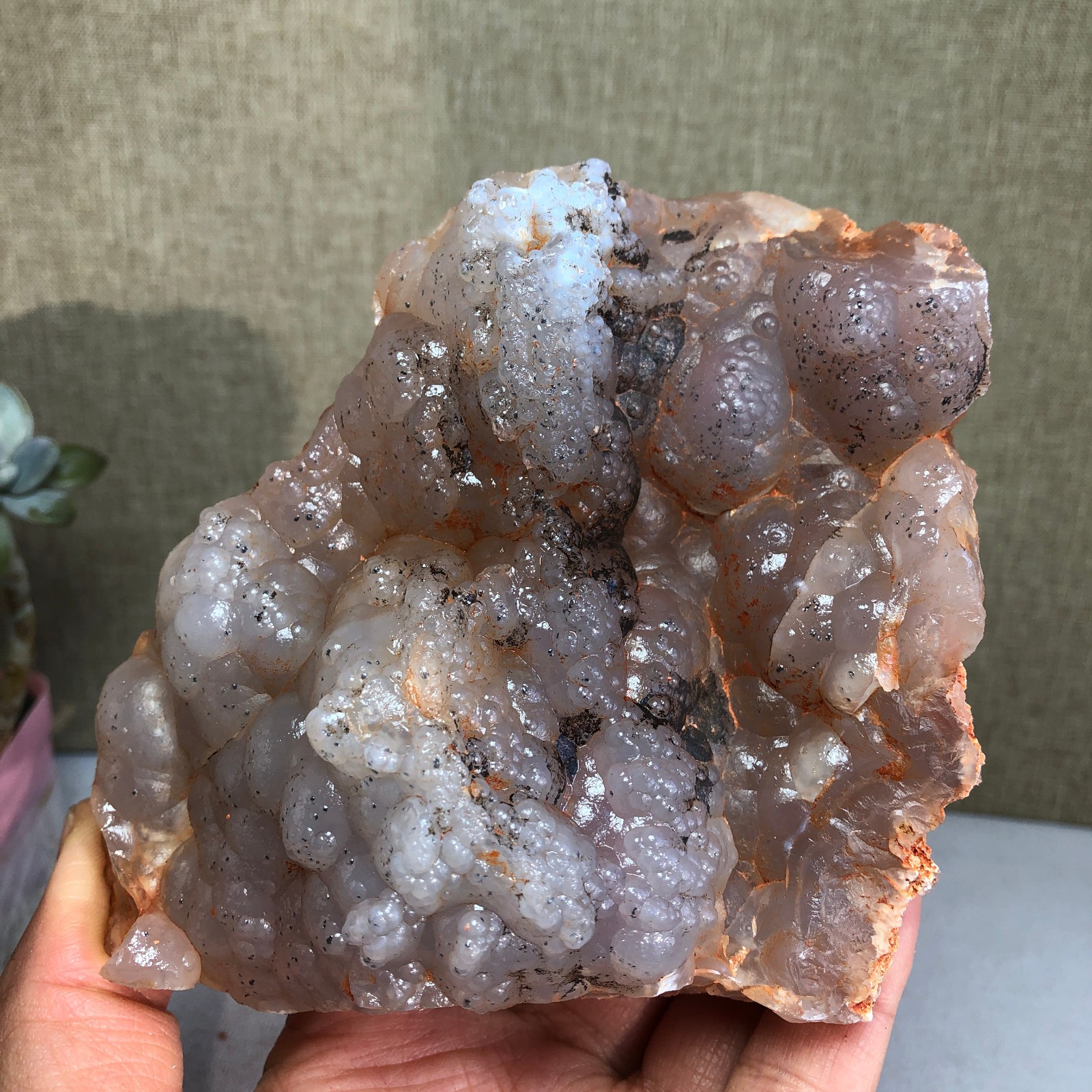 Rare  Bonsai Suiseki Gobi semi-precious stone rough original Specimen 443g A2304
