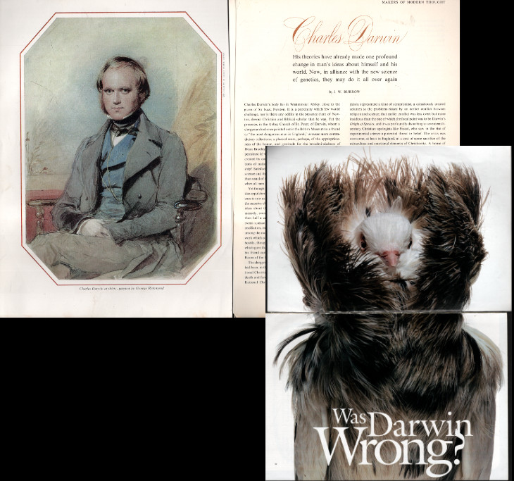 Charles Darwin :  Various clippings, pictures, ads and/or articles.