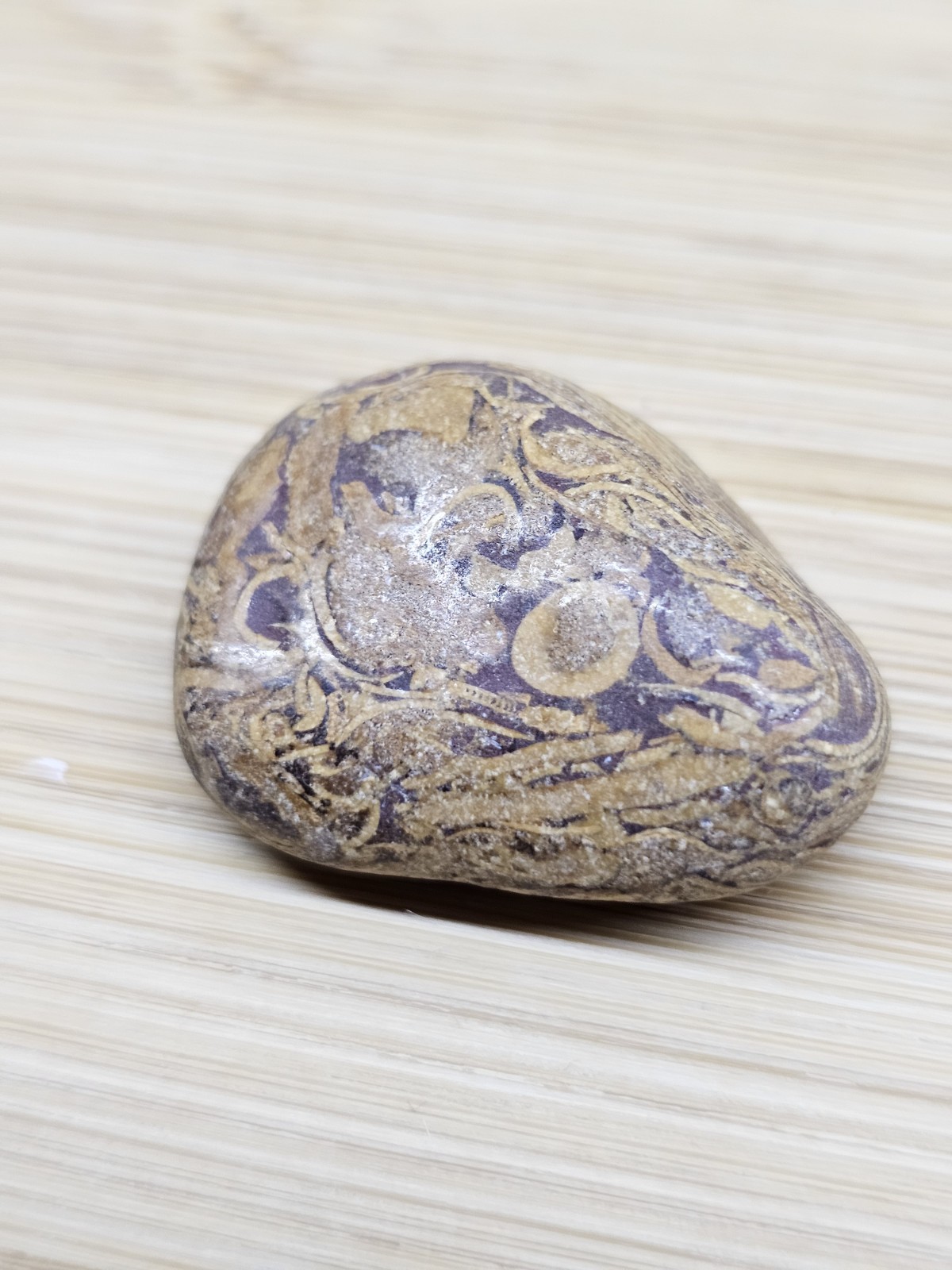 Coquina Jasper Tumbled and Polished - Healing Stone