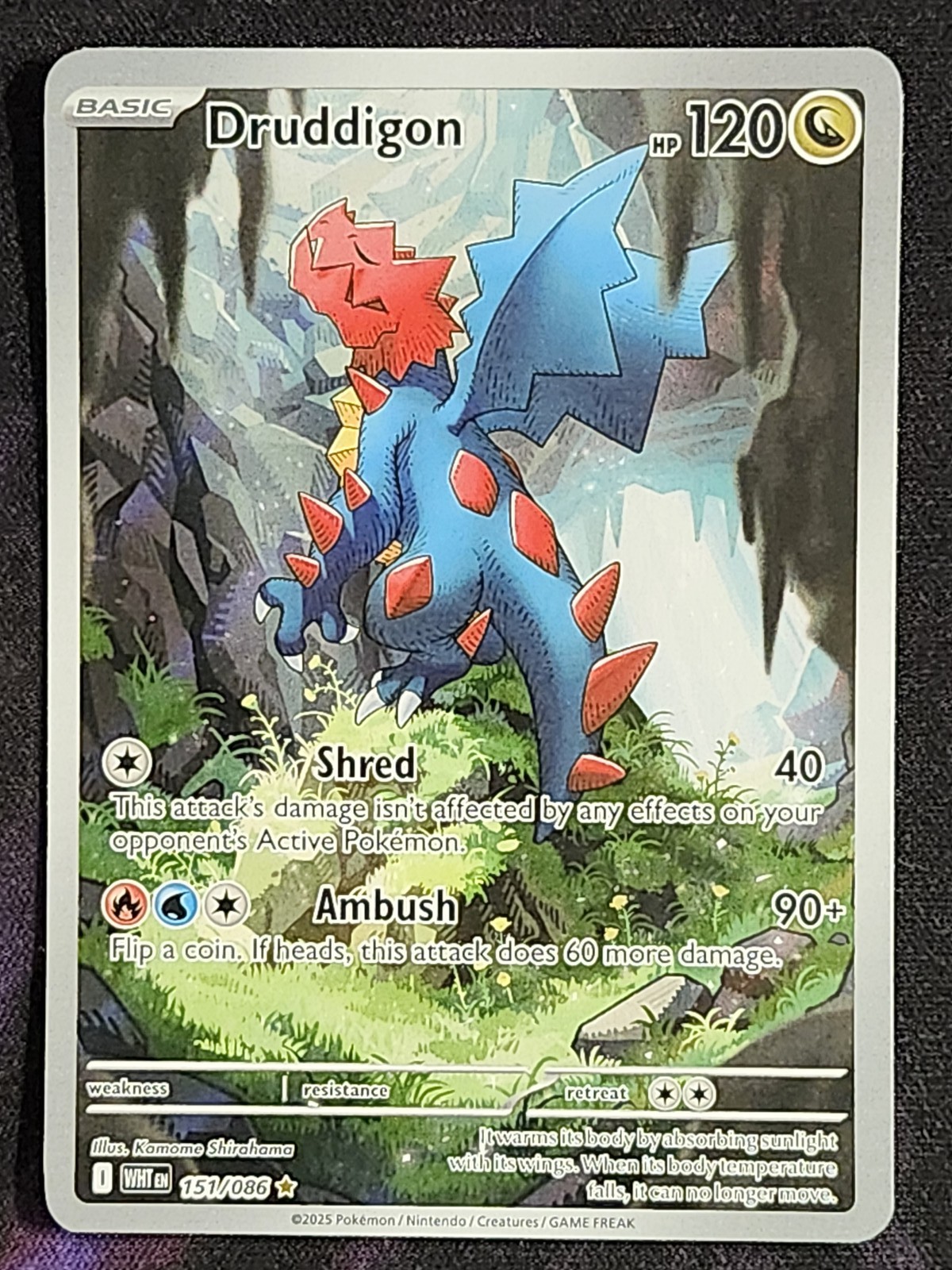 Pokemon Druddigon 151/086 White Flare WHT
