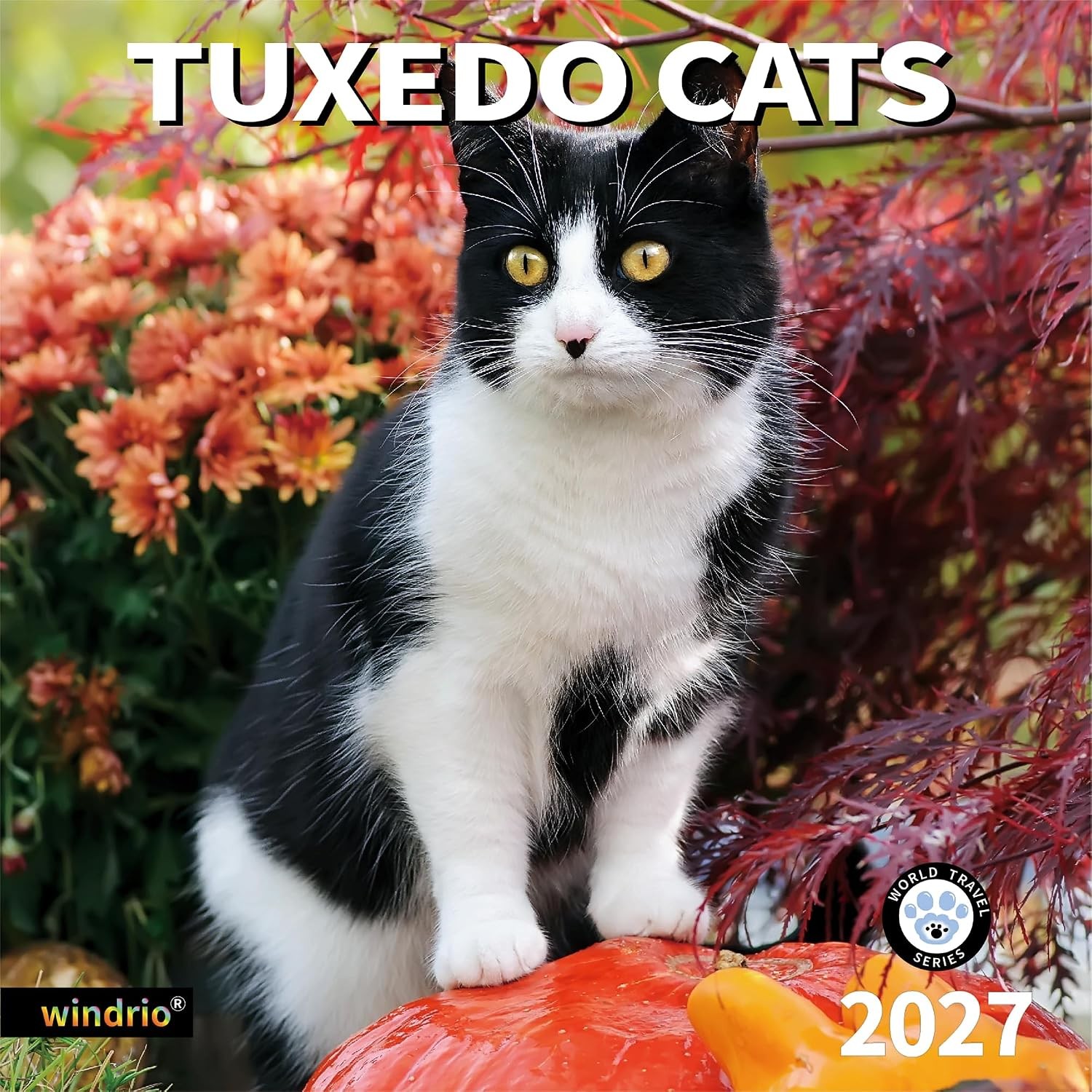 Tuxedo Cats 2026-2027 Wall Calendar, 2027 Calendar, Wall Calendar, November