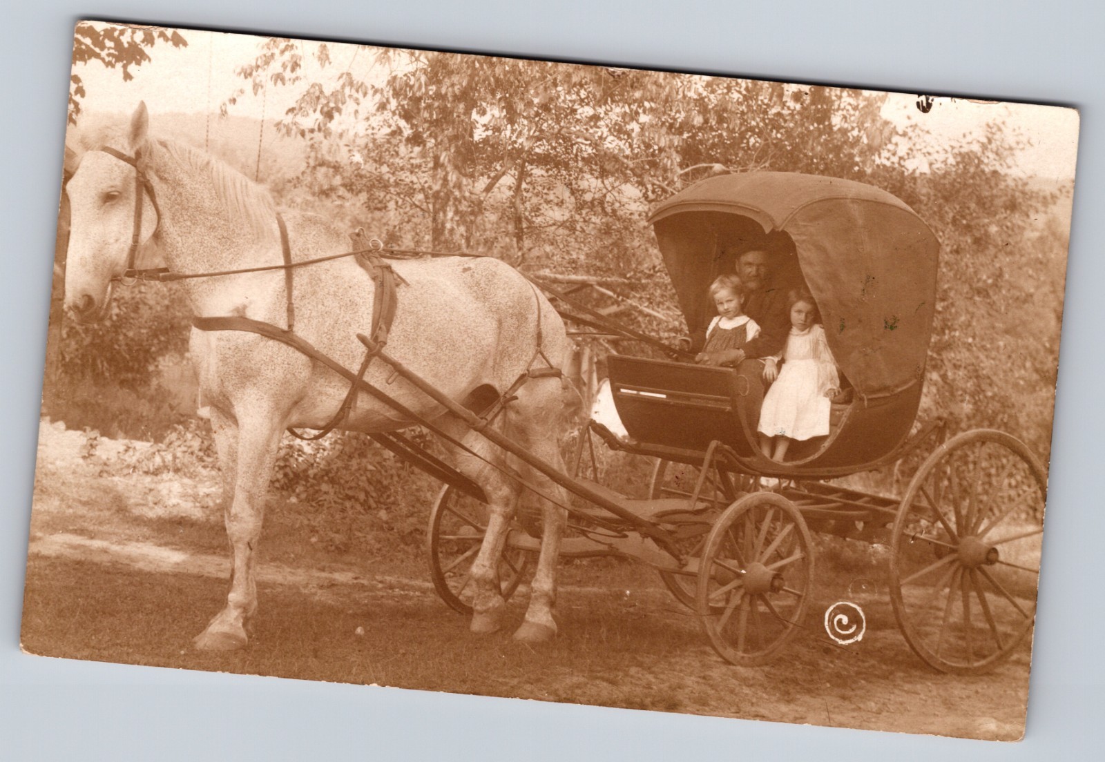 Post Card OLDEST ONE HORSE IN AMERICA 250 YEARS OLD Owned by J.W. Walden.