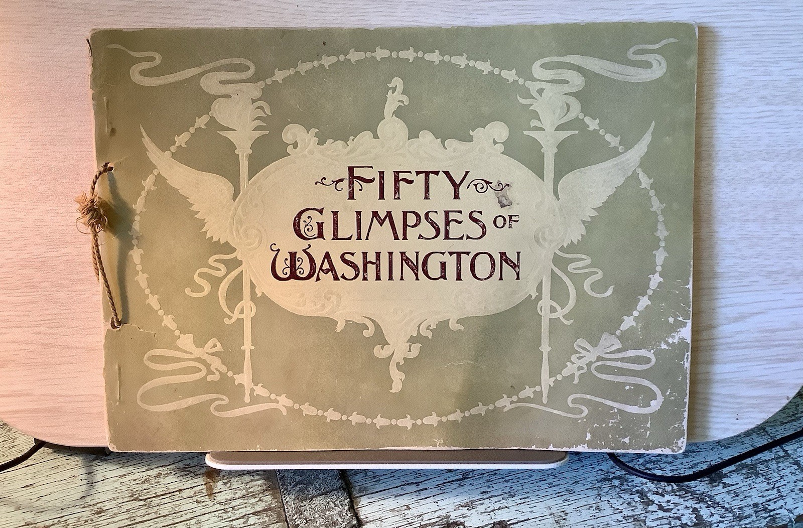 1897 Washington D.C. Souvenir Photograph Book Fifty Glimpses of Washington PB