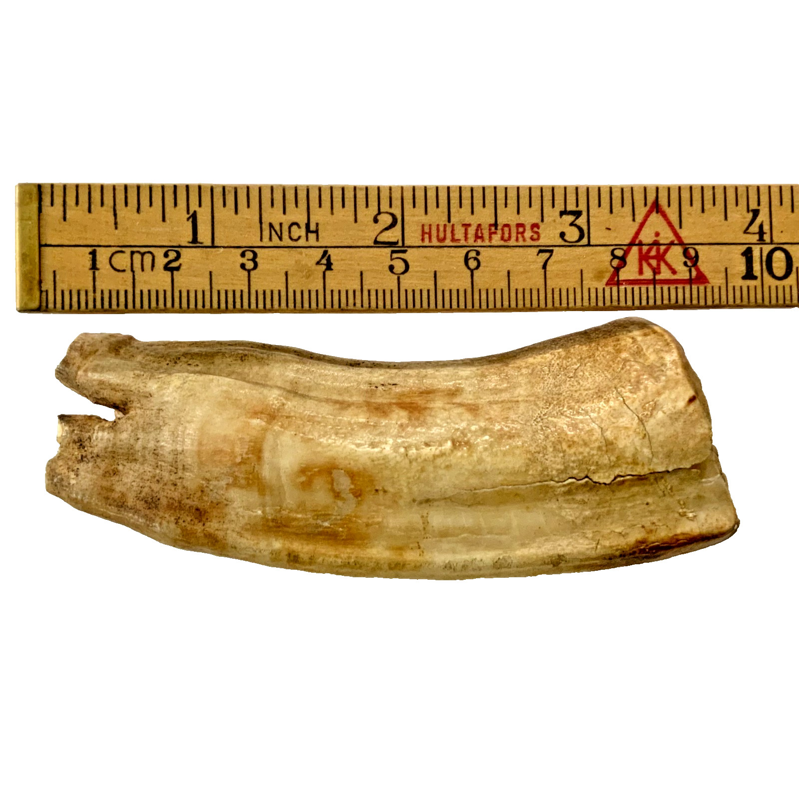 LARGE 3.75
