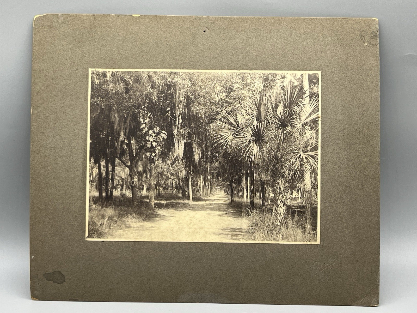 Original William Roxbury Cabinet Card Photo Daytona Florida Original William Roxbury Cabinet Card Photo Daytona Florida
