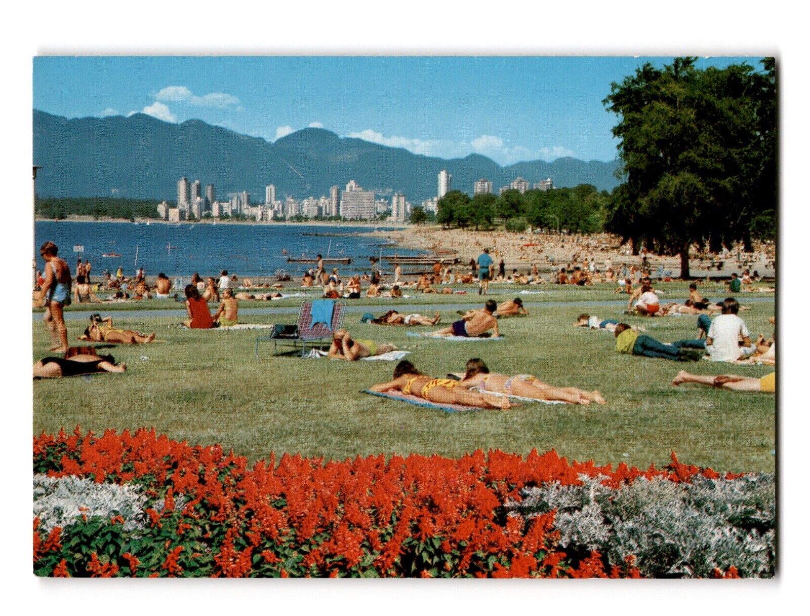 KITSILANO BEACH & ENGLISH BAY SKYLINE Vancouver, B.C., Canada Postcard