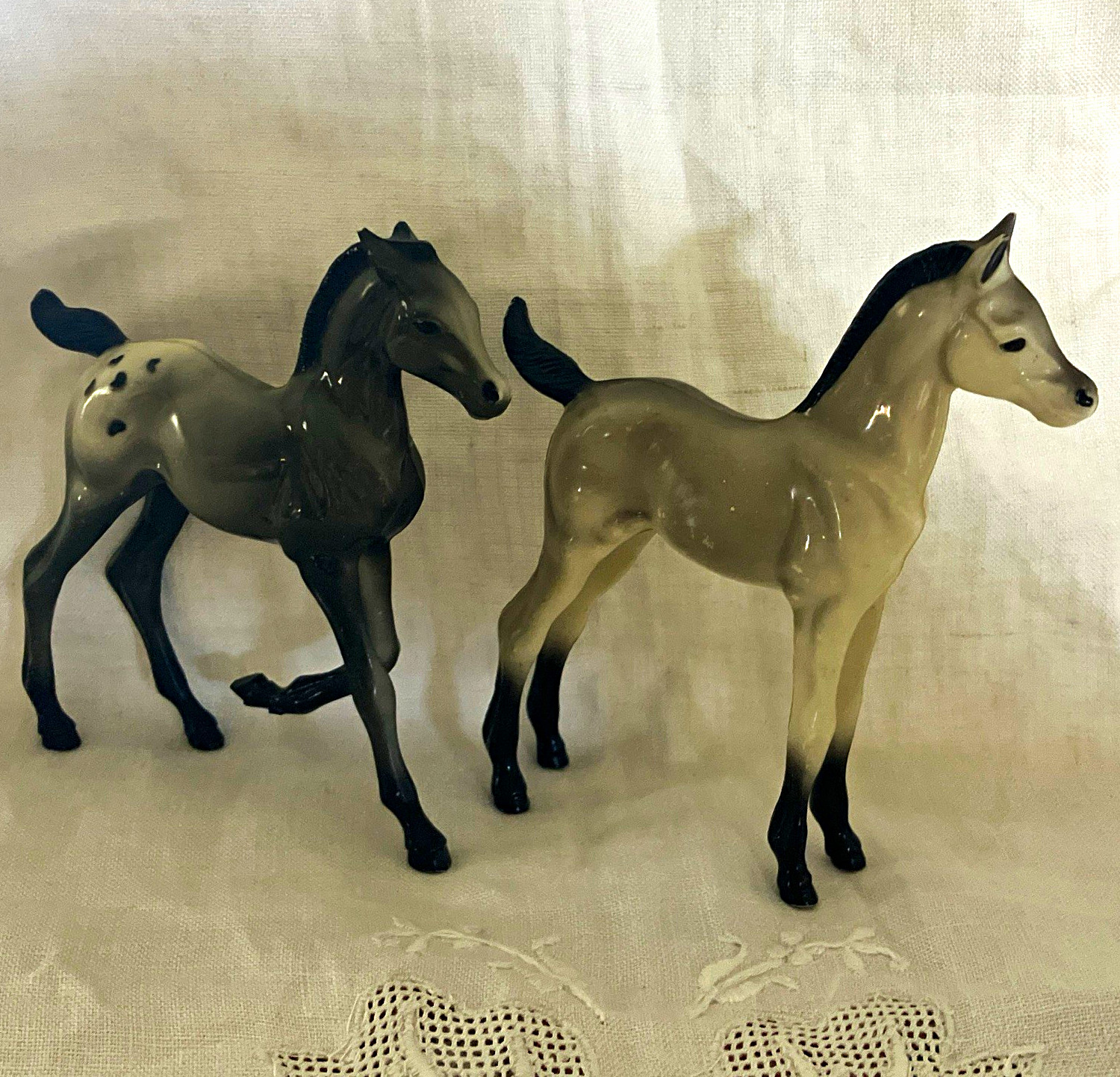 Hartland horse foals