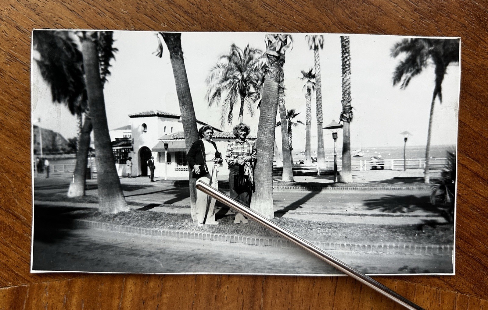 Vintage 1940s Crescent Ave Avalon Catalina Island Street Scene Photo