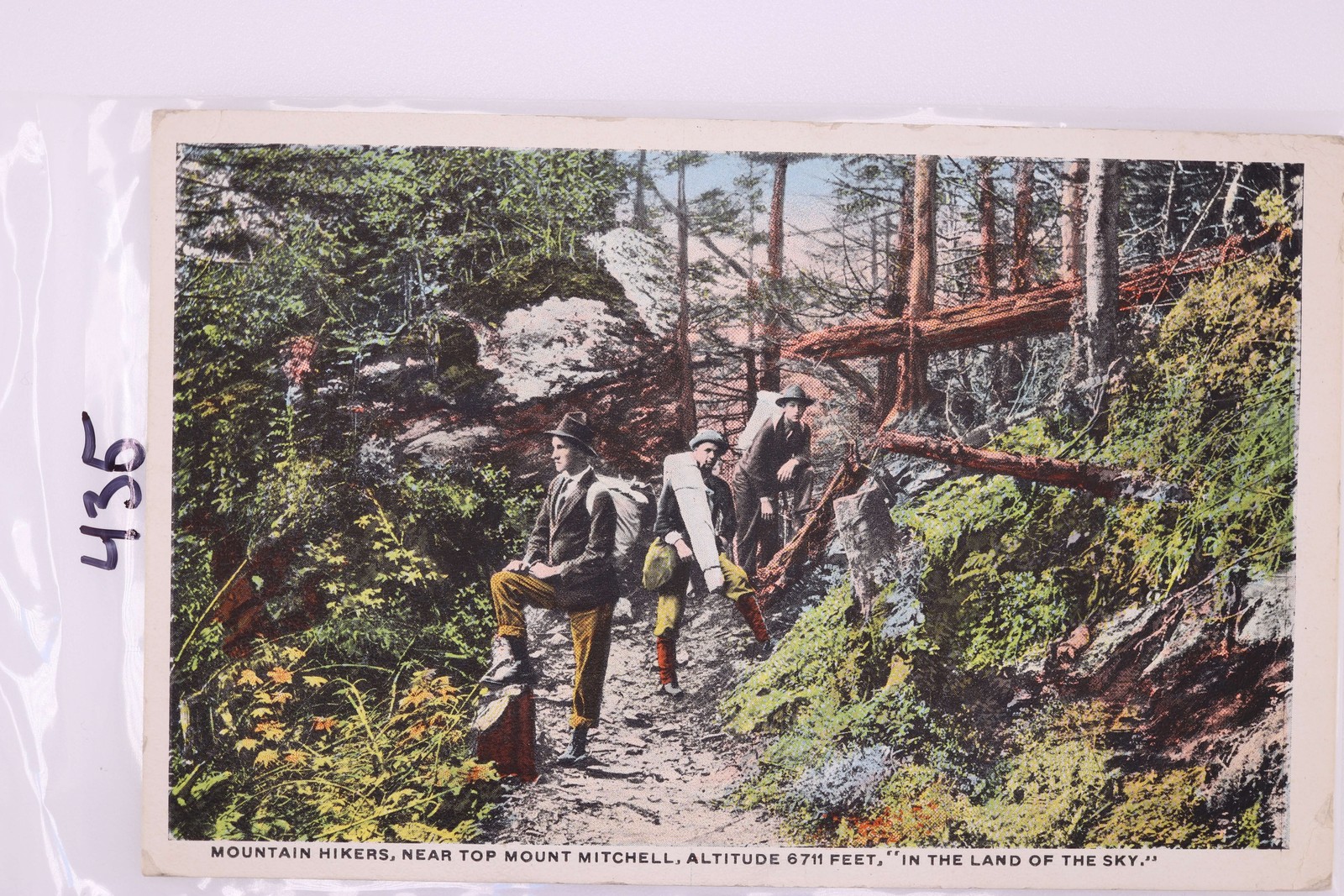 Mount Mitchell Hikers NC 1916 Postmark Southern Post Card Co
