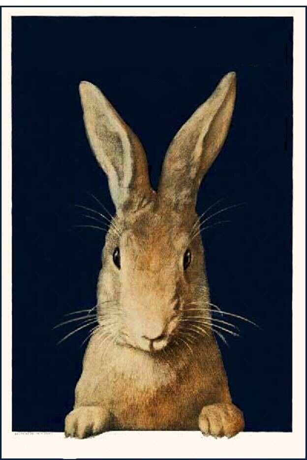 Postcard: Vintage Repro - The Perfect Painting of a Rabbit, Hare