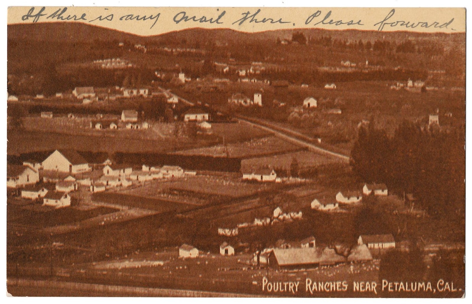 1914 Petaluma, California - Town & Farms - Sonoma County Agriculture - Postcard 1914 Petaluma, California - Town & Farms - Sonoma County Agriculture - Postcard