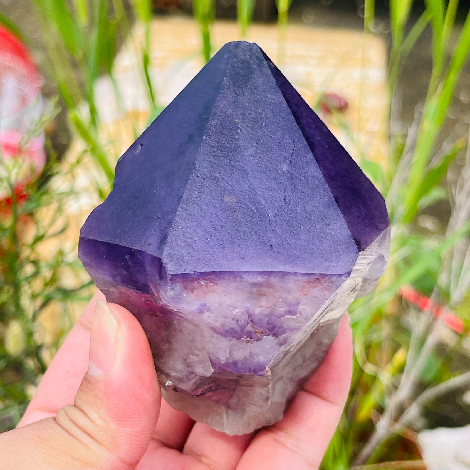 425g Natural Amethyst Unicuspid Quartz Crystal Points Rough Mineral Specimen