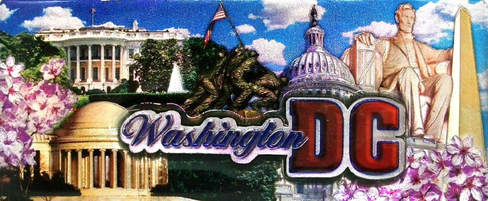 Washington D.C. Foil Panoramic Fridge Magnet
