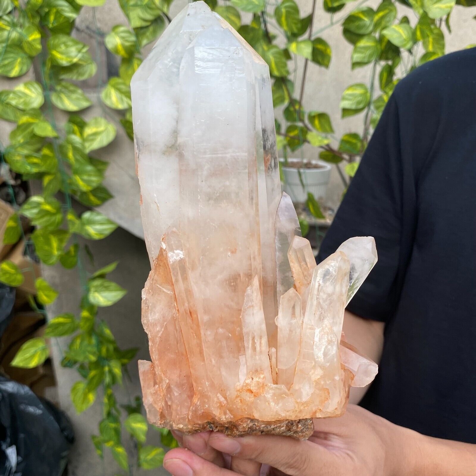 1680G Large Natural White Clear Quartz Crystal Cluster Raw Healing Specimen