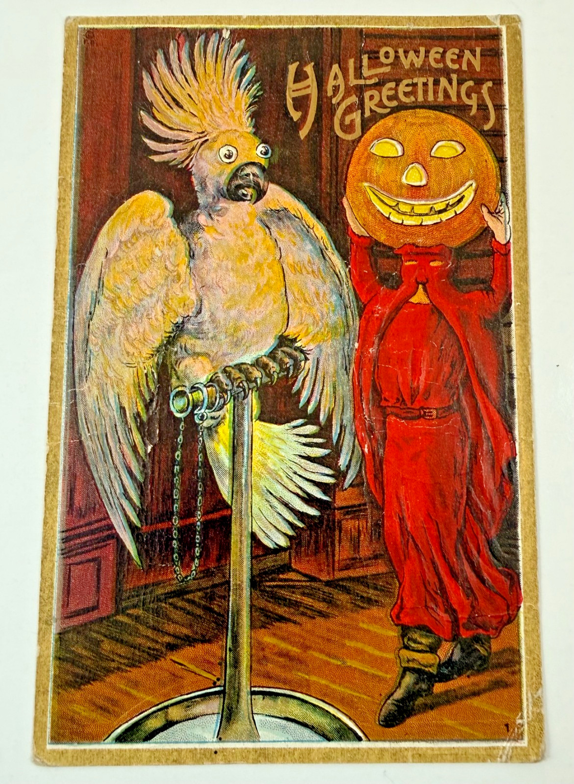 VINTAGE 1913 Halloween Postcard Bamberger Parrot Scary Jack O' Lantern Colorful