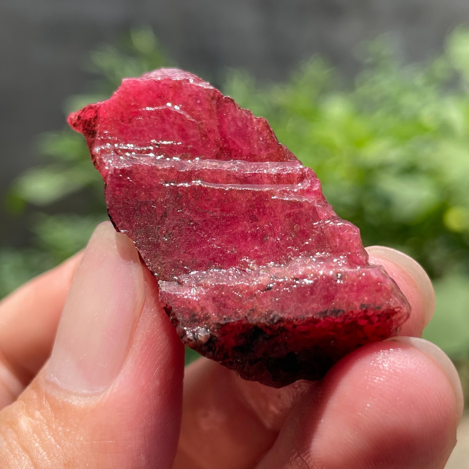 31g Rough Natural Rhodonite Quartz Crystal Mineral Specimen Healing