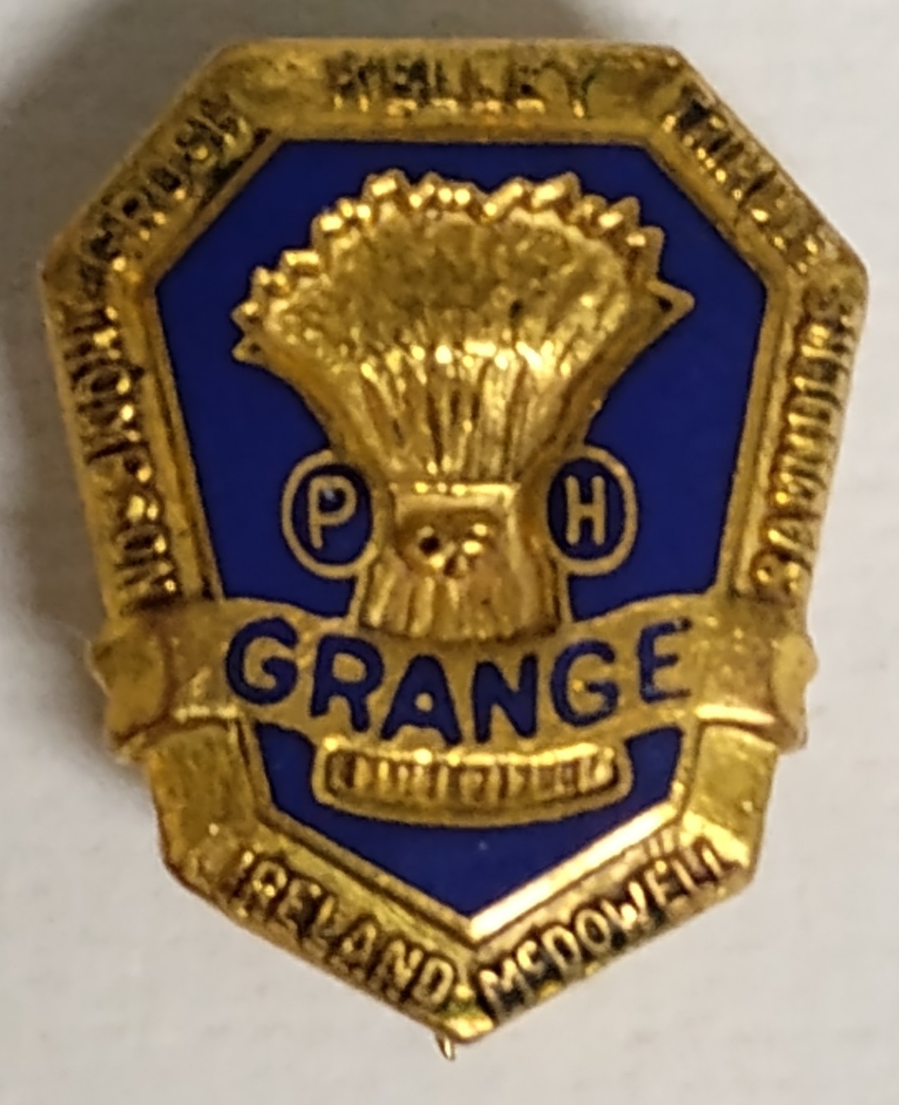 Vintage National Grange Order of Patrons of Husbandry Gold Tone Member Lapel Pin