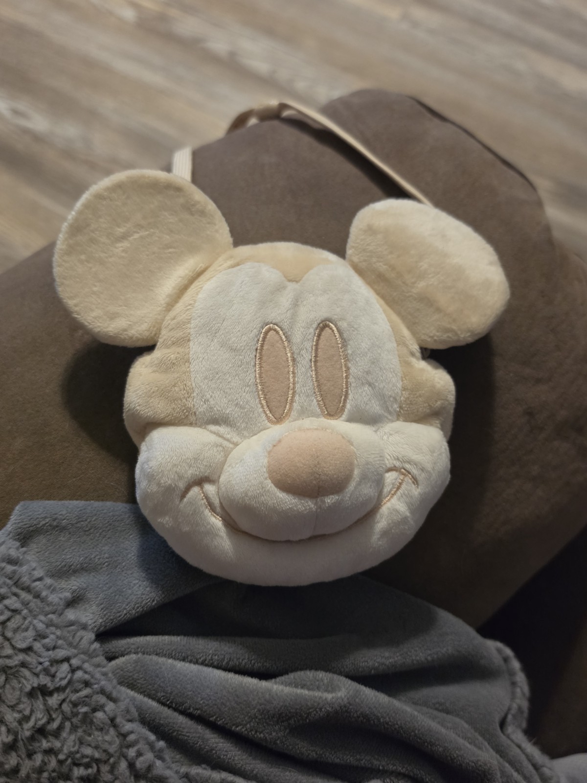 Adult Collectible Disney Mickey Mouse Plush Pass Case Tokyo Disney Resort Christ