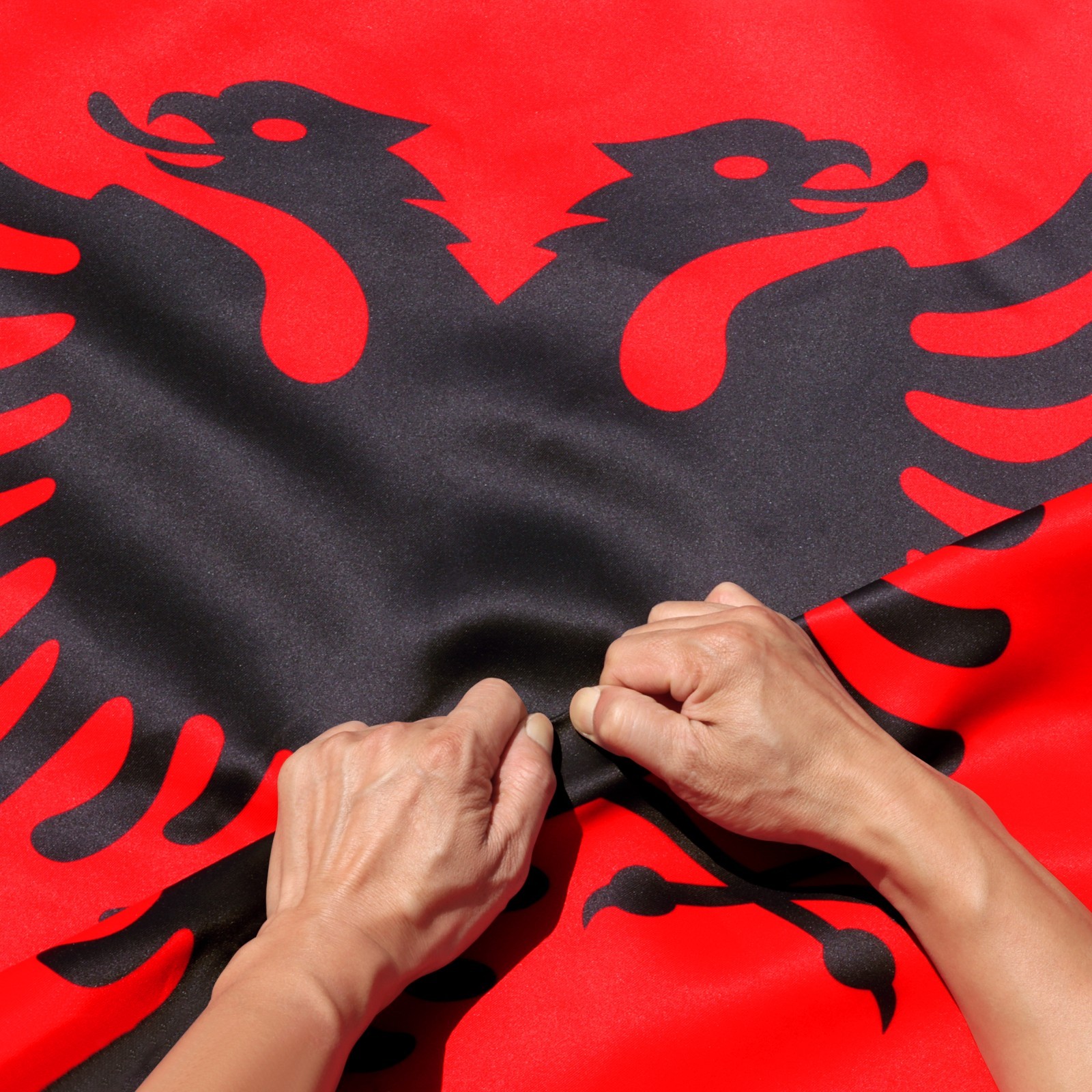 Anley Rip-Proof Double Sided 3-Ply Albania Flag 3x5 Foot Albanian National Flags Anley Rip-Proof Double Sided 3-Ply Albania Flag 3x5 Foot Albanian National Flags