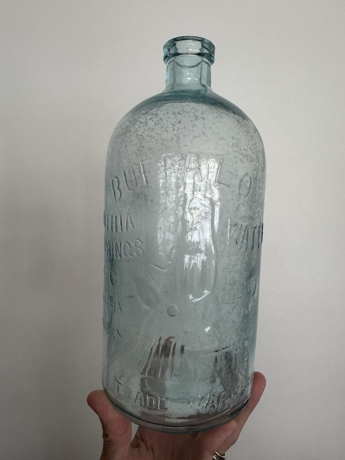 Buffalo Lithia Springs Water Bottle Natures Materia Medica Aqua 1/2 Gal VA Nice
