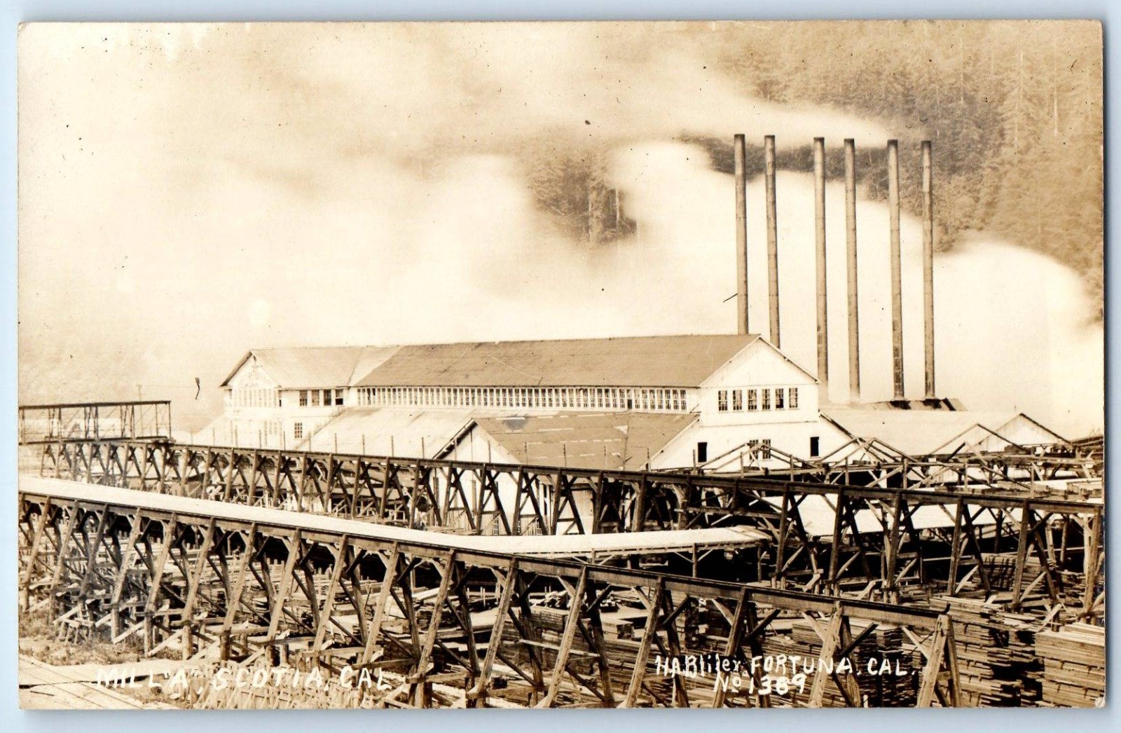 c1910's View Of Lumber Mill Scotia California CA RPPC Photo Antique Postcard c1910's View Of Lumber Mill Scotia California CA RPPC Photo Antique Postcard