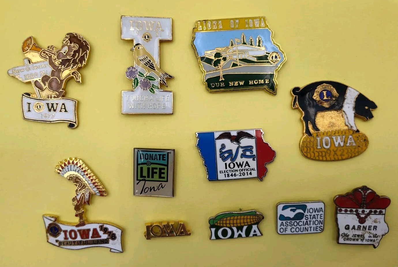 ☑️🦁🌽VINTAGE SET 11 Iowa LIONS 1960-70\'s Corn Fields Lapel Pin Souvenirs📸SEE📸