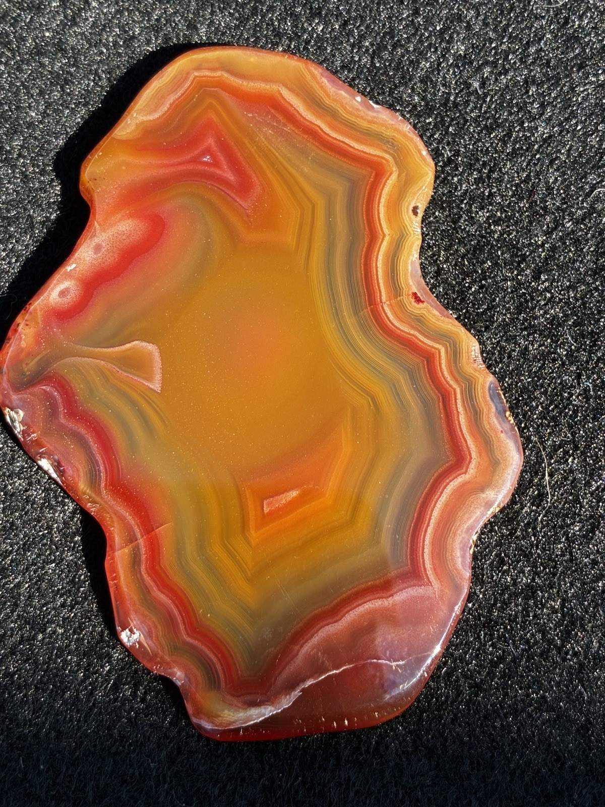 Xtra Large Polished Laguna Slice- Orange And Red Fortification- From Estate