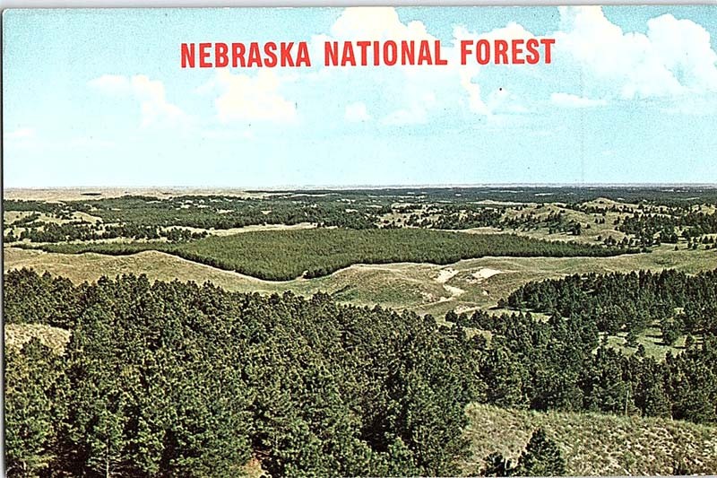 Postcard PANORAMIC SCENE Nebraska National Forest Nebraska NE s/06 AJ3317 Postcard PANORAMIC SCENE Nebraska National Forest Nebraska NE s/06 AJ3317