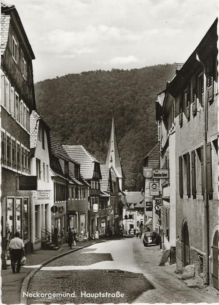 Postcard Neckargemünd - Main Street with German Emperor and shops