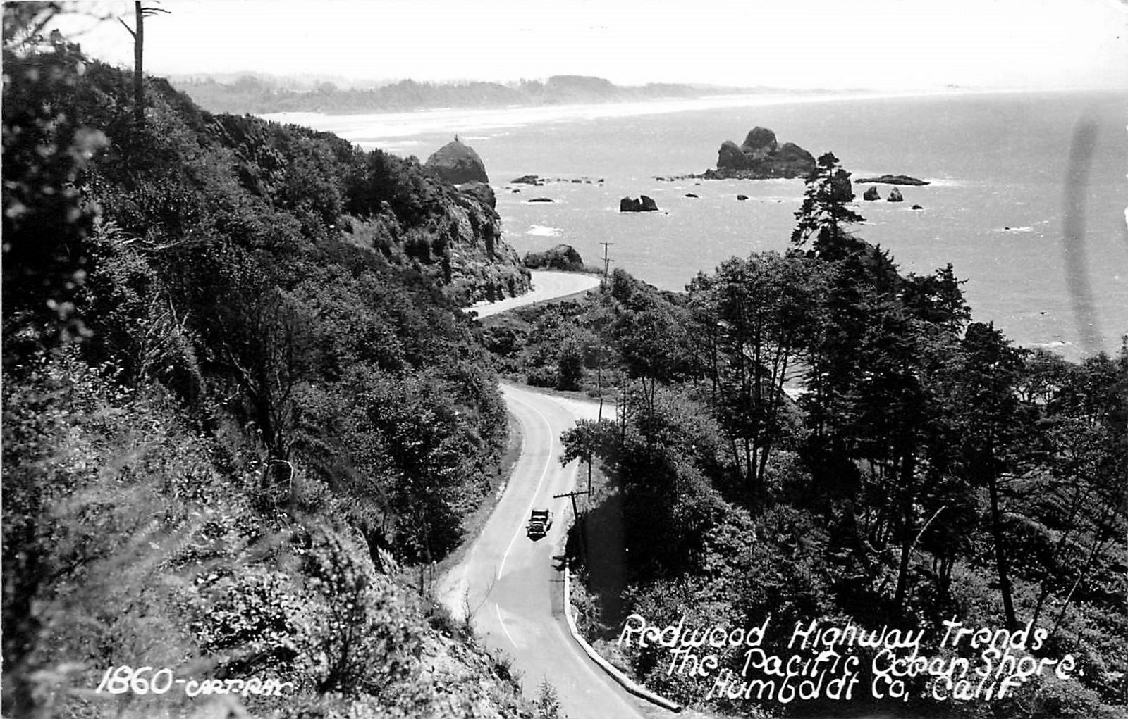 1940s Humboldt County California Redwood Hwy Art Ray RPPC Postcard 26-4192