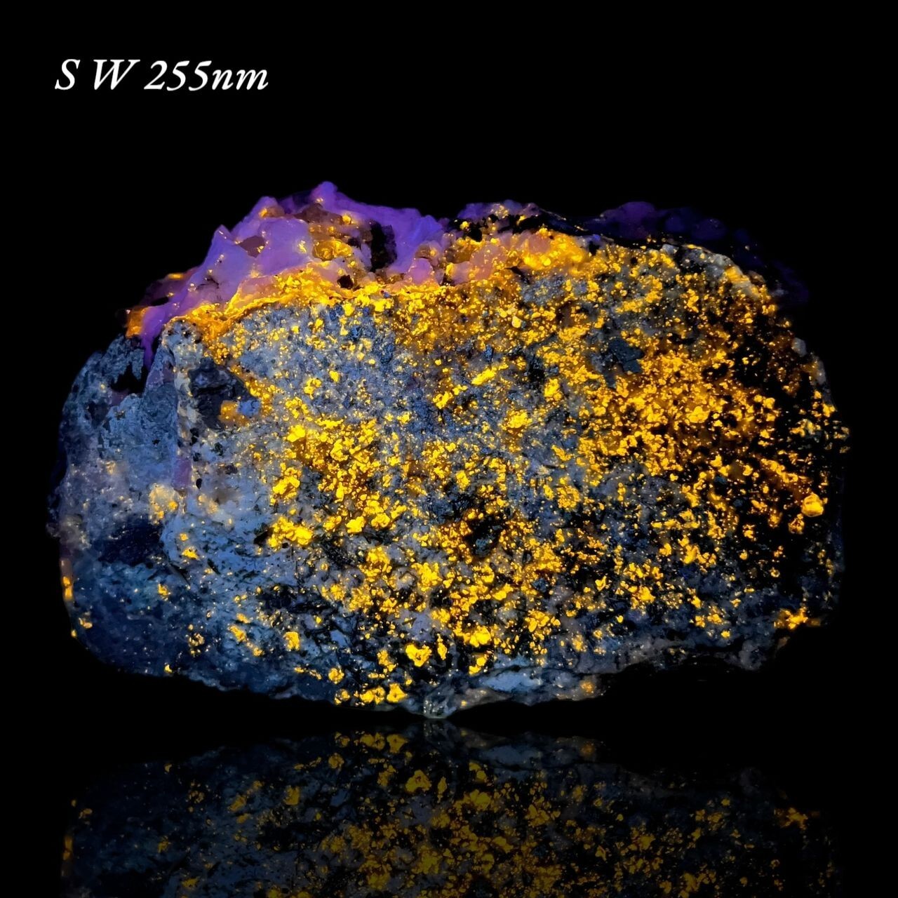 4,260 GM Fluorescent Apatite Crystals with Green Tourmaline on Feldspar @PKP 4,260 GM Fluorescent Apatite Crystals with Green Tourmaline on Feldspar @PKP