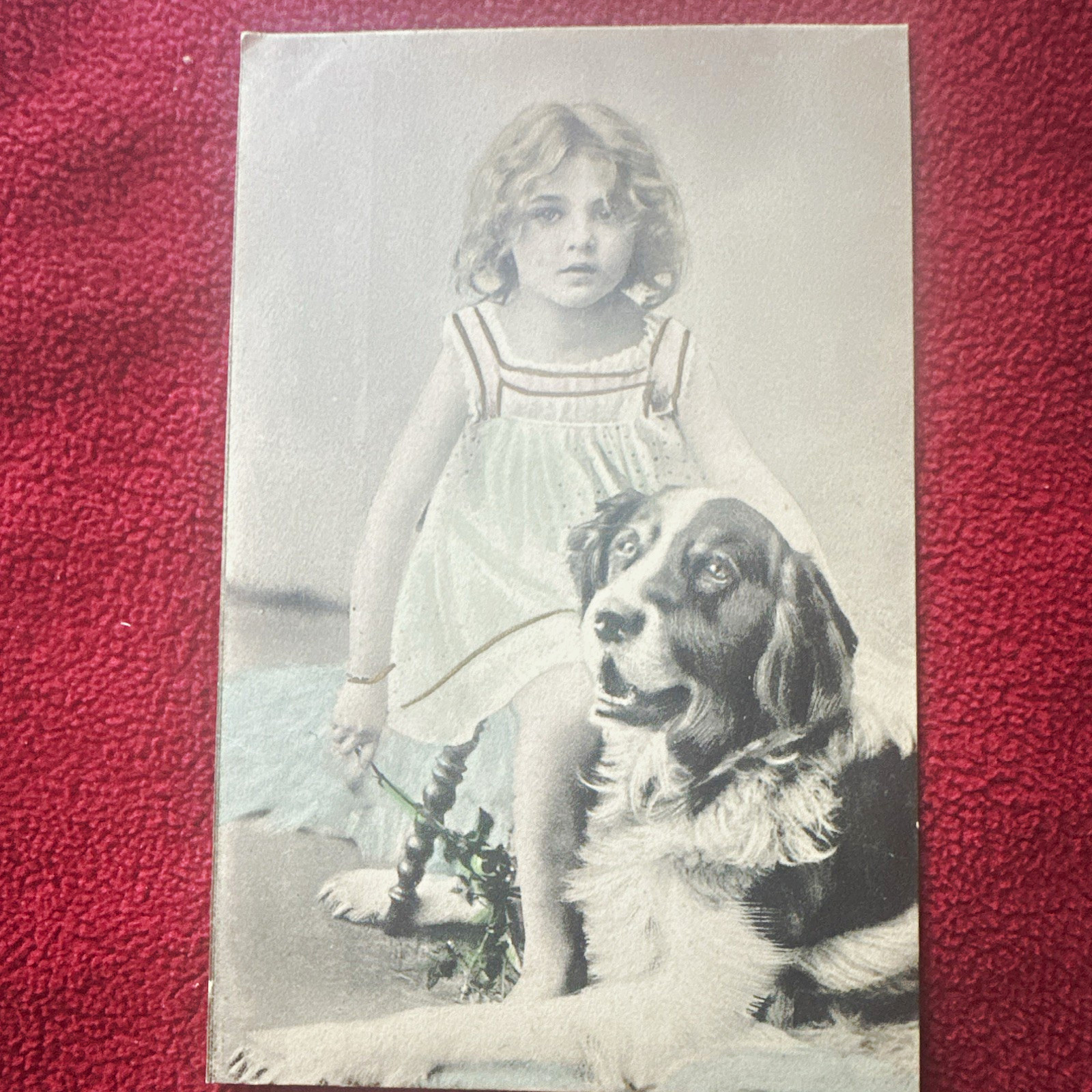 Vtg Unposted Original Girl w/ Dog Postcard, Divided Back (1907-1915) colorized Vtg Unposted Original Girl w/ Dog Postcard, Divided Back (1907-1915) colorized