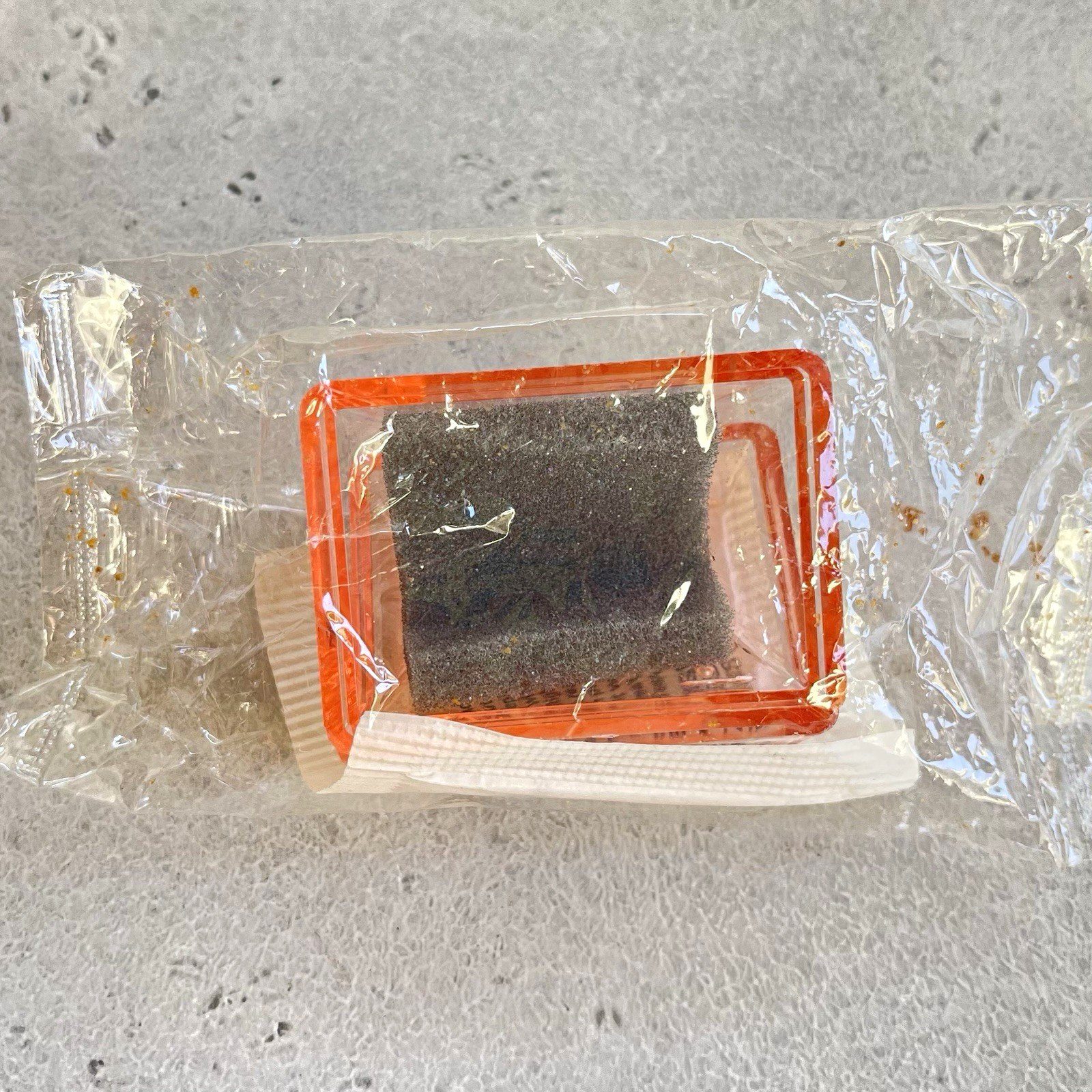 Super Sugar Crisp Terrarium 1976 Post Cereal Premium MIP Vintage