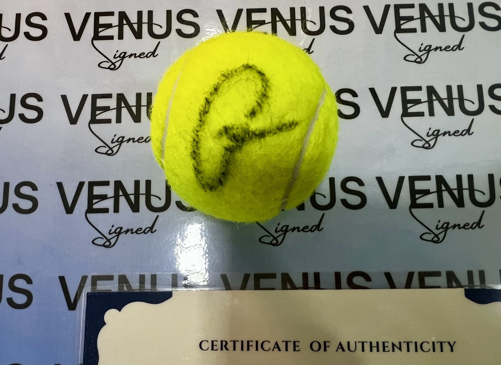 Carlos Alcaraz HAND-SIGNED WIMBLEDON TENNIS BALL + COA included + Photo Proof