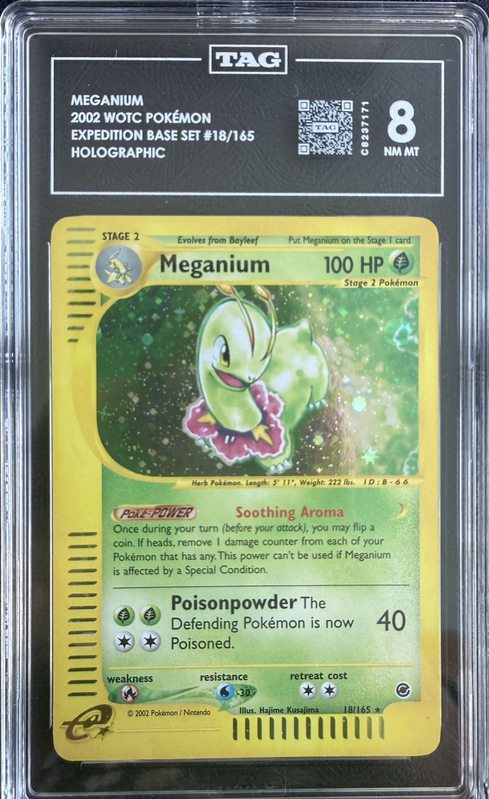 Meganium Expedition Base Set Holo tag 8